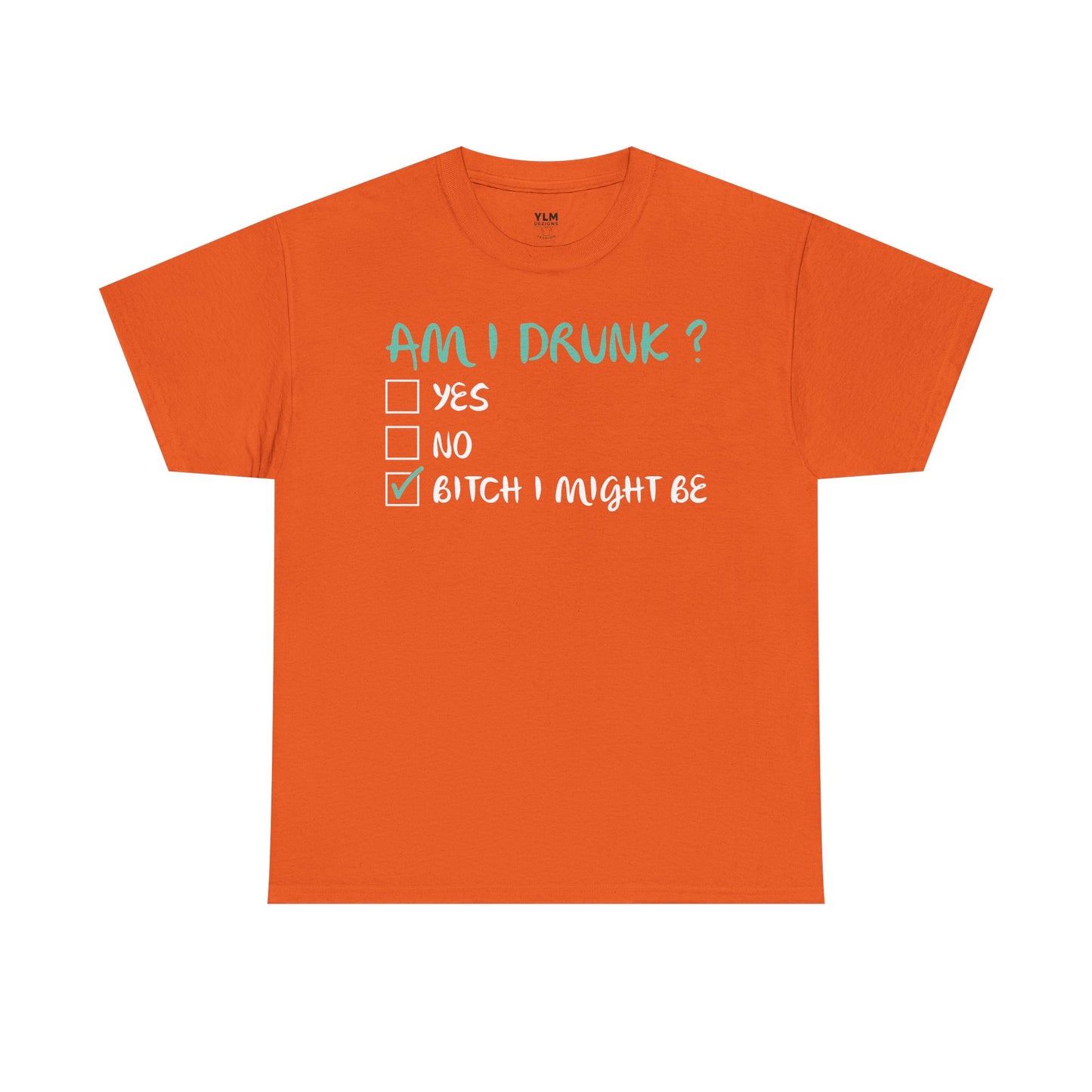 Am I Drunk? Unisex Tee