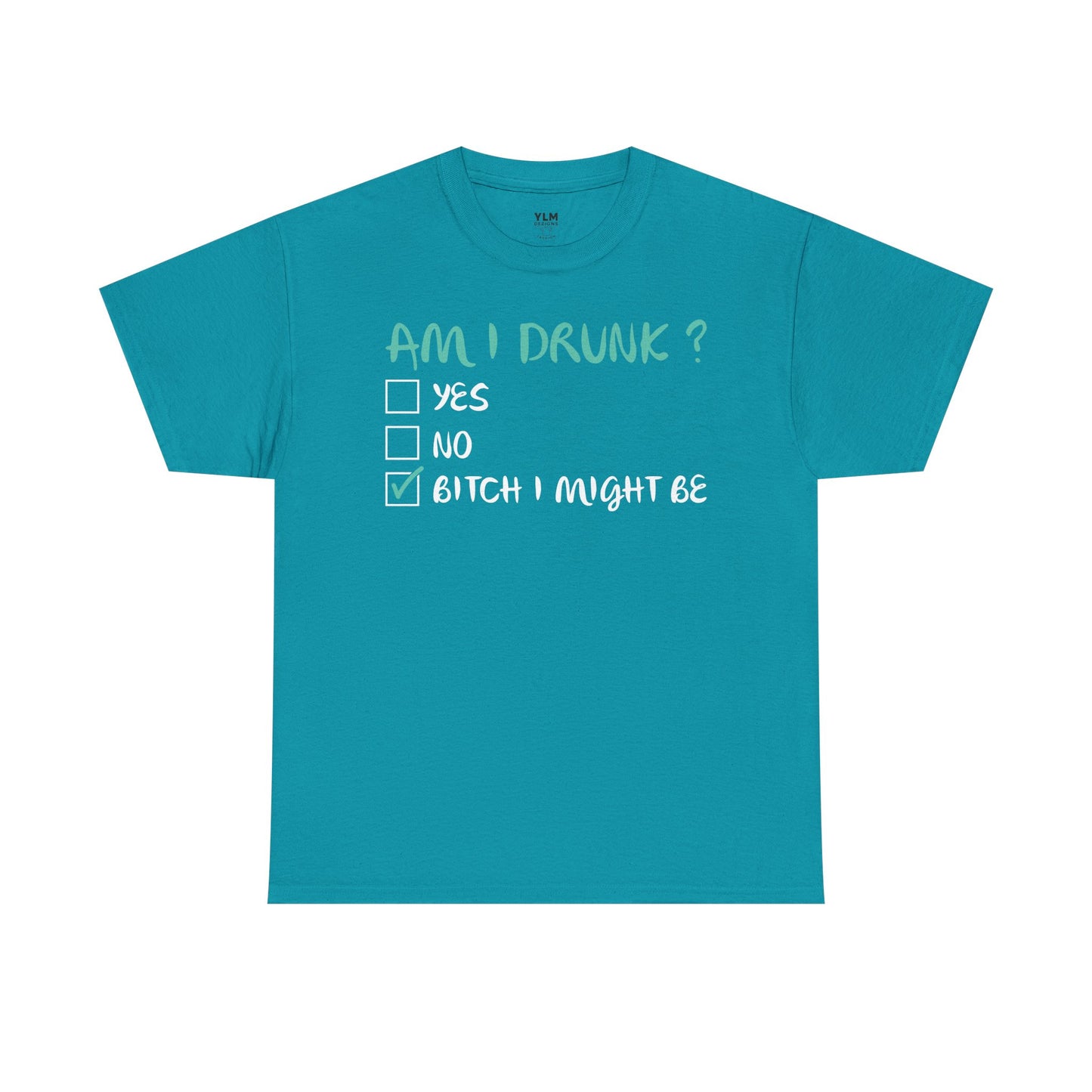 Am I Drunk? Unisex Tee