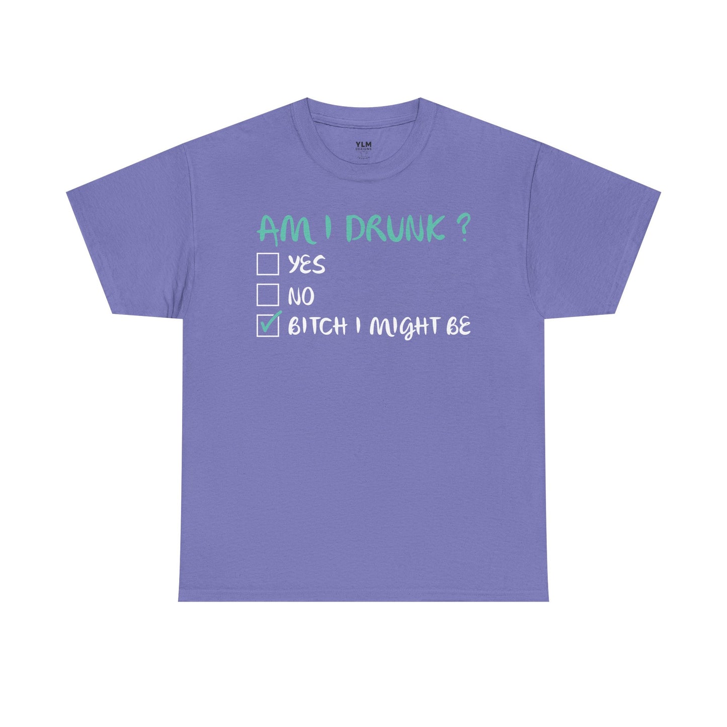 Am I Drunk? Unisex Tee